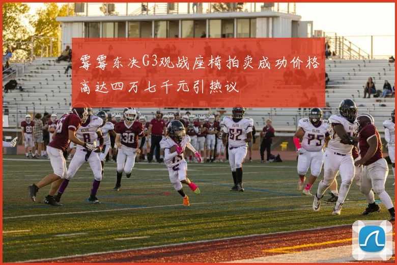 霉霉东决G3观战座椅拍卖成功价格高达四万七千元引热议